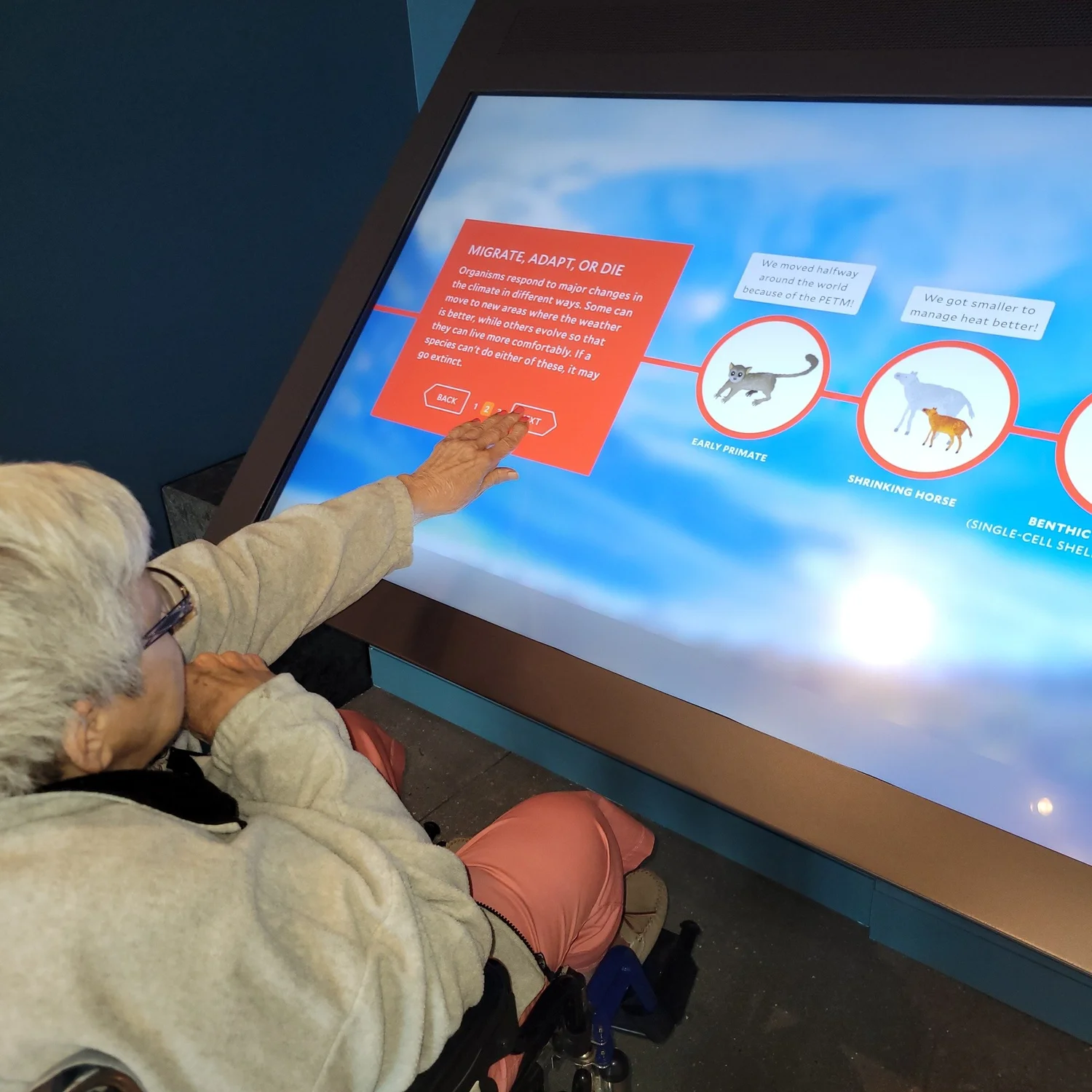 A visitor using a touchscreen interactive titled 'Migrate, Adapt, or Die,' exploring how species like an early primate and a shrinking horse responded to past climate change