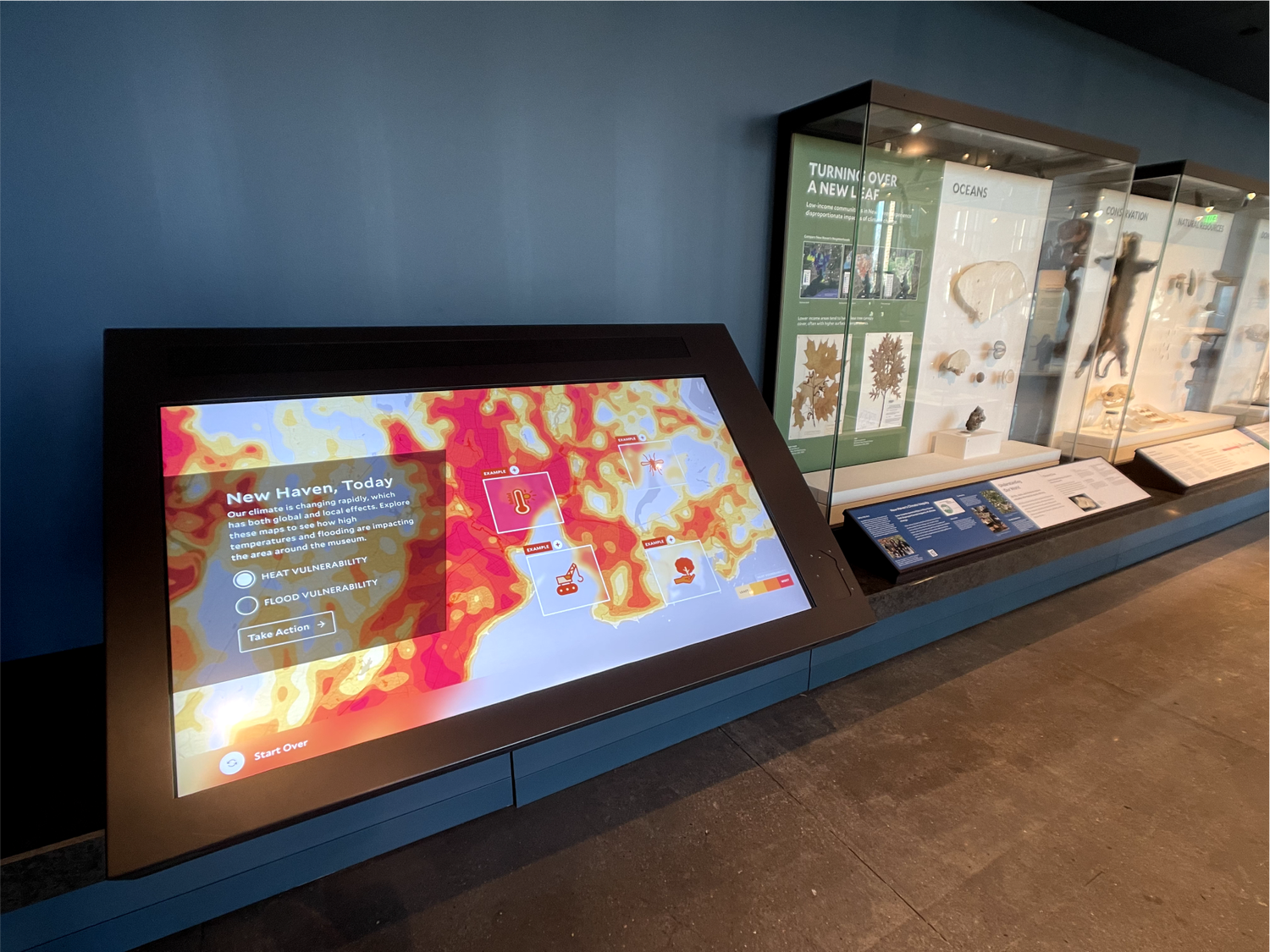 A touchscreen interactive titled 'New Haven, Today' showing a heat-vulnerability map of the city, beside gallery display cases on oceans and conservation