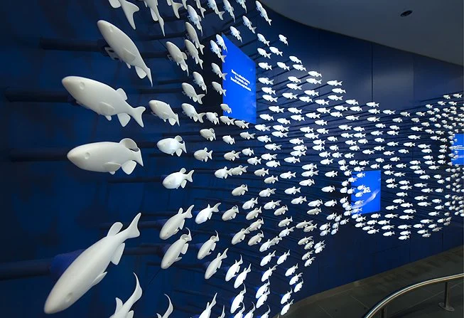 The zebrafish sculpture's school of white 3D-printed fish flowing across a deep-blue wall, thinning toward a few large lead fish in the foreground