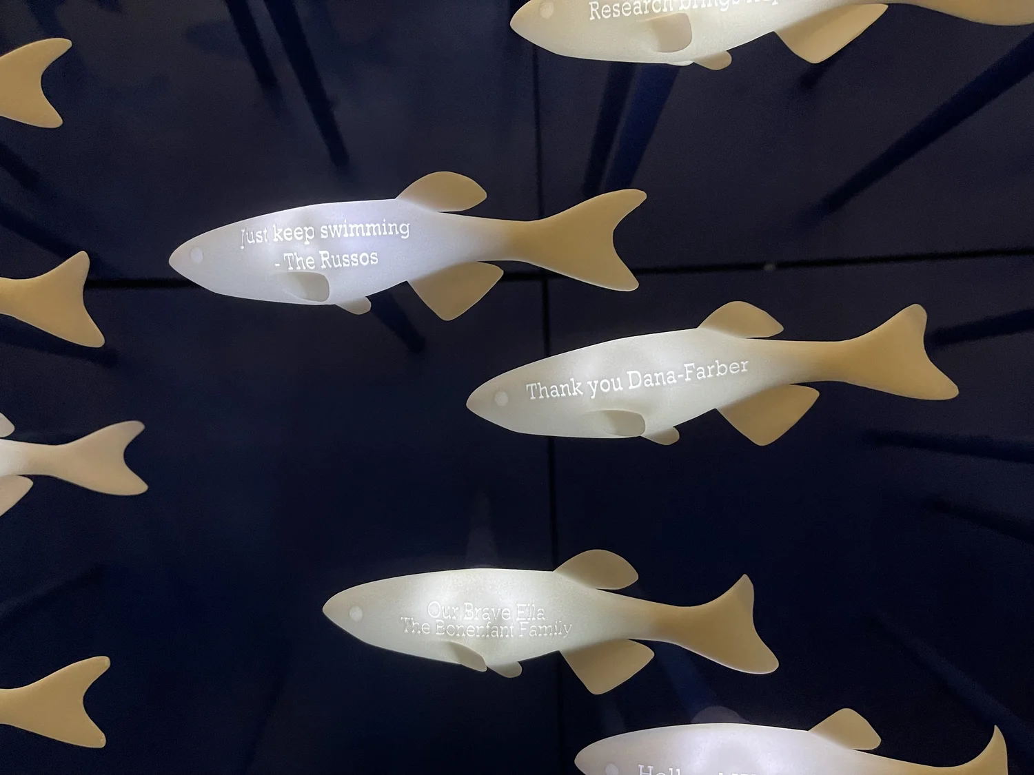 Close-up of individual 3D-printed zebrafish, each inscribed with a donor's message, including "Just keep swimming — The Russos" and "Thank you Dana-Farber"